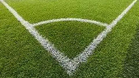 开云体育官网登录 产品 112429 omz