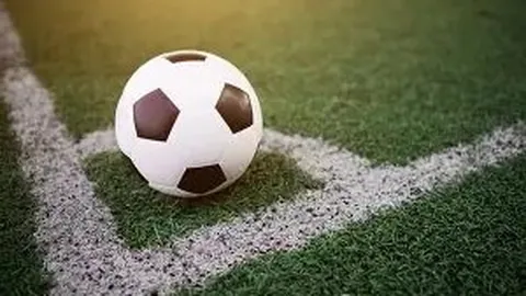 开云体育官网登录 资讯 113103 y06