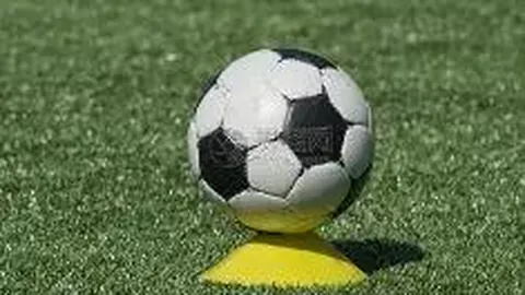 开云体育官网登录 产品 100642 4u6